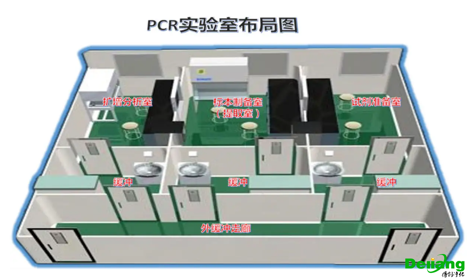 PCR實(shí)驗(yàn)室模型